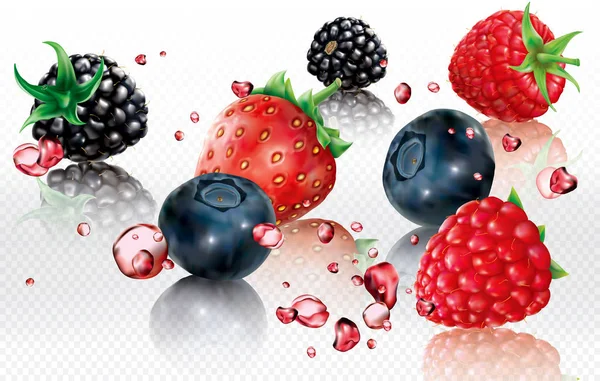 Berries campuran ke dalam percikan jus - Stok Vektor