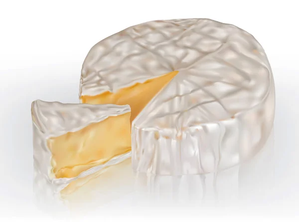 Camembert Brie Fromage Sur Fond Transparent Illustration Maillage Vectoriel — Image vectorielle