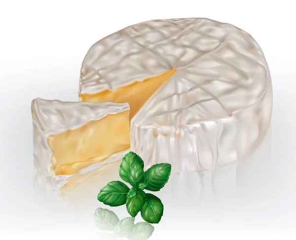 Camembert Brie Fromage Feuilles Basilic Sur Fond Transparent Illustration Maillage — Image vectorielle