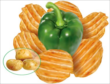 Yeşil biberli patates cipsi ve biber ve patates yumrusu. Vektör ağ illüstrasyonu