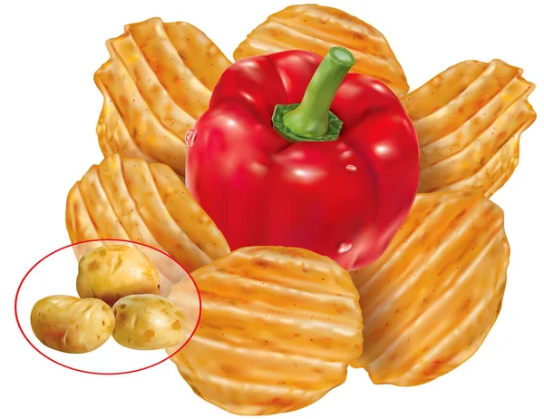 Kırmızı biberli patates cipsi ve kırmızı biber ve patates yumrusu. Vektör ağ illüstrasyonu