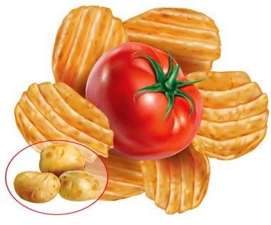 Domatesli patates cipsi ve yumru patates. Vektör ağ illüstrasyonu