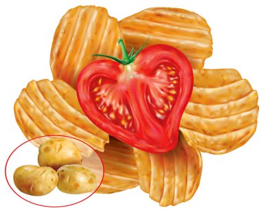 Domatesli patates cipsi ve yumru patates. Vektör ağ illüstrasyonu