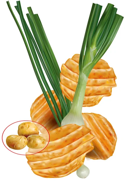 Wellige Kartoffelchips Mit Grüner Zwiebel Vektornetzabbildung — Stockvektor