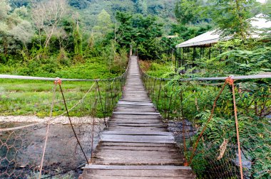 Derin ormandaki yaşlı ahşap köprü