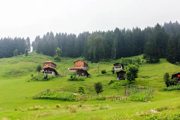 General Landscape View Famous Ayder Plateau Camlihemsin Rize Ayder Plateau — Stock Photo, Image