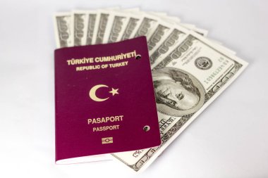 Türk pasaportu ve dolar banknotları