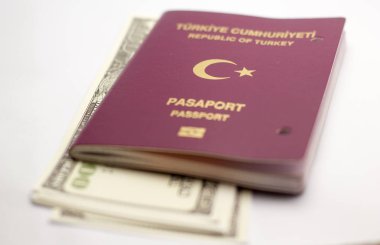 Türk pasaportu ve dolar banknotları