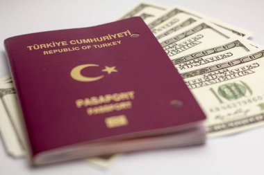 Türk pasaportu ve dolar banknotları