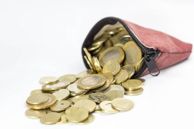 Sikkedolu sikke çanta