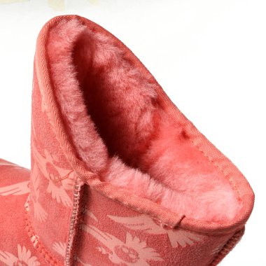 Beyaz arka plan üzerinde izole kadın demi-sezon çizmeler. E-ticaret ve Katalog için ürün stüdyoda çekim güzel fotoğraf pic.