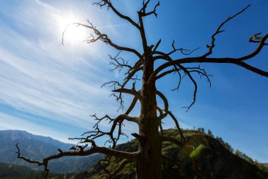altay manzara doğal renk ışığı