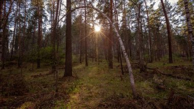     altay manzara doğal renk ışığı