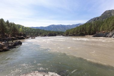 , , Nehir, su, altai, doğa, Rusya, kimya, beyaz, seyahat, manzara, orman, dağ, köy, manzara, mavi, arka plan, gökyüzü, doğal, ağaç, açık hava, cumhuriyet, katun, turizm, taş, kaya, hız, panorama, dağlar, sibirya