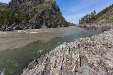 , , Nehir, su, altai, doğa, Rusya, kimya, beyaz, seyahat, manzara, orman, dağ, köy, manzara, mavi, arka plan, gökyüzü, doğal, ağaç, açık hava, cumhuriyet, katun, turizm, taş, kaya, hız, panorama, dağlar, sibirya