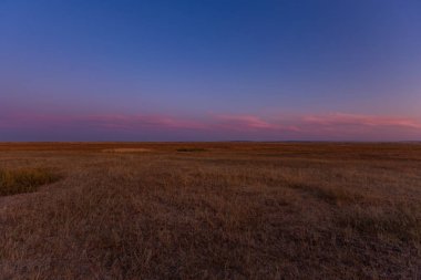 Düşen yaprakları illumining güneş ışığı ile Sonbahar orman manzara