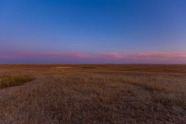 Düşen yaprakları illumining güneş ışığı ile Sonbahar orman manzara