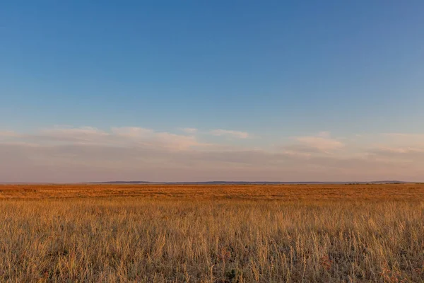 Herbstliche Waldlandschaft Mit Sonnenlicht Das Die Fallenden Blätter Erhellt — Stockfoto