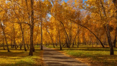 Sonbahar, şehir parkı Komsomol 'dan 30 yıl sonra isimlendirildi