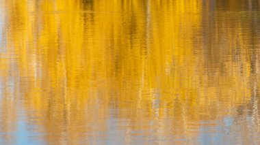 Sonbahar, şehir parkı Komsomol 'dan 30 yıl sonra isimlendirildi