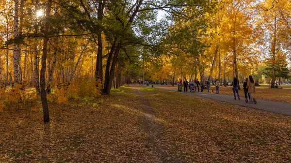 Jesień Park Miejski Nazwany Cześć Lat Komsomolu — Zdjęcie stockowe