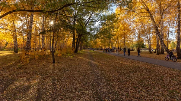 Jesień Park Miejski Nazwany Cześć Lat Komsomolu — Zdjęcie stockowe