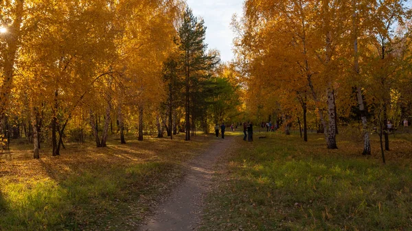 Jesień Park Miejski Nazwany Cześć Lat Komsomolu — Zdjęcie stockowe