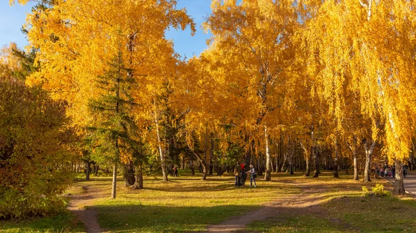 Jesień Park Miejski Nazwany Cześć Lat Komsomolu — Zdjęcie stockowe