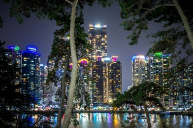 Park, Güney Kore ağaçları üzerinden Busan şehir gece görünümü.
