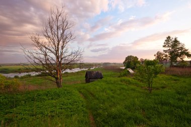 Rus köyünde gün batımında nehrin arka planındaki ağaç ve eski ev.