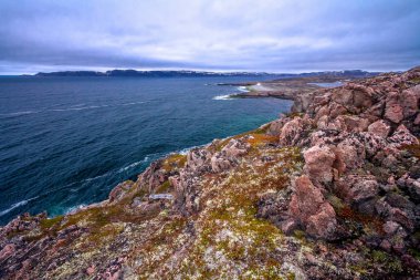 Barents deniz Stony Körfezi