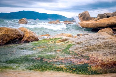 Kayalar, taşlar, deniz. Vietnam Nha Trang
