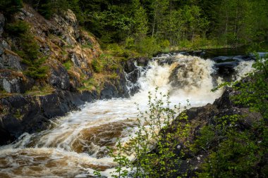 Kivach waterfall in Karelia, Russia clipart