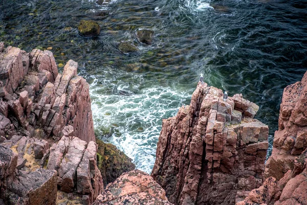Кам'яна затока Баренцнього моря — стокове фото