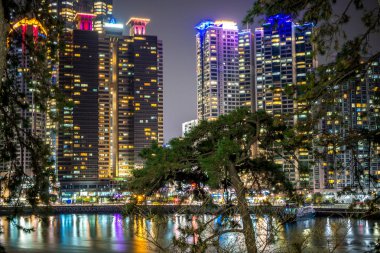Park, Güney Kore ağaçları üzerinden Busan şehir gece görünümü.