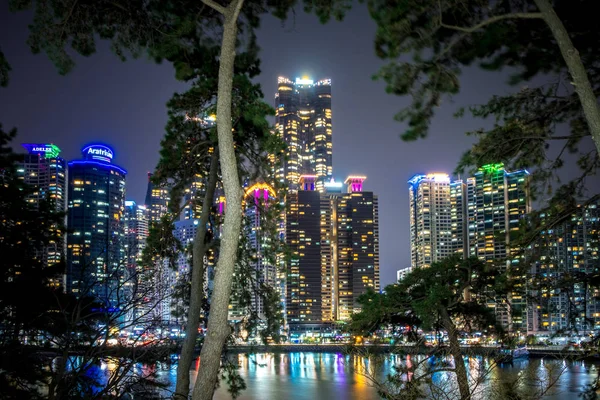 Busan City Night View door de bomen van het Park, Zuid-Korea. — Stockfoto