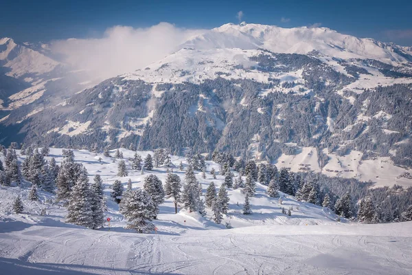 Mayrhofen, Autriche Vallée du Zillertal sur fond de sapins neigeux, vue de la montagne — Photo