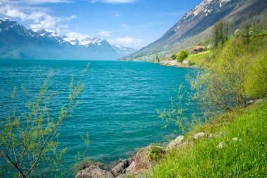 Brienz Gölü Brienz'da yaz aylarında