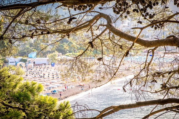 Vue sur la plage de Becici à travers les pins. Mon pote. Monténégro — Photo