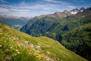 Avusturya'da Grossglockner dağlarının vadisi