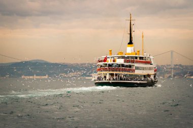 gün batımında İstanbul'da Boğaziçi su yolunda martılarla çevrili feribot.