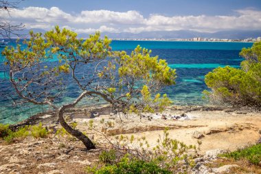 Koy, tekne, kayalar, mavi su, gökyüzü ile renkli yaz manzara. Balear adaları Mallorca. Palma de Mallorca üzerinde görüntüle