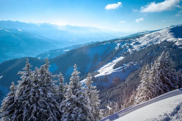 Winter landscape with snow covered trees Royalty Free Stock Photos