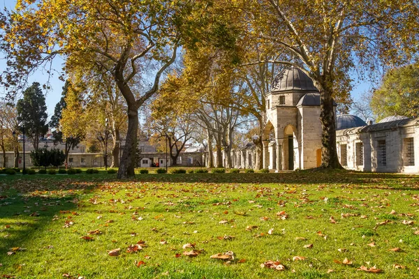 Stambuł, Turcja, jesienny ogród w Sultan Beyazit Mosque — Zdjęcie stockowe