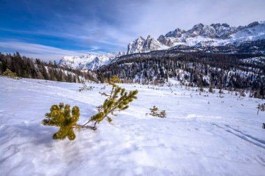 Winter landscape in Dolomites at Cortina D'Ampezzo ski resort, Italy clipart