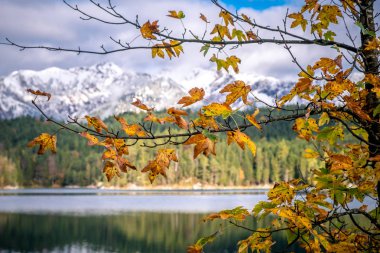Eibsee gölü Almanya Garmisch sonbaharda