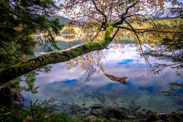 Eibsee lac Allemagne Garmisch en automne — Photo