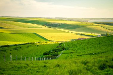 Gri Burun yakınlarında bir alanda yön işaretleri