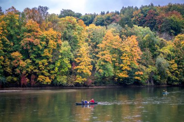Parlak sonbahar. Sarı ve portakal ağaçları. Kelheim, Tuna Nehri, Almanya sonbaharı