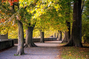 Lindau Gölü Güvertesi, Almanya, Bodensee